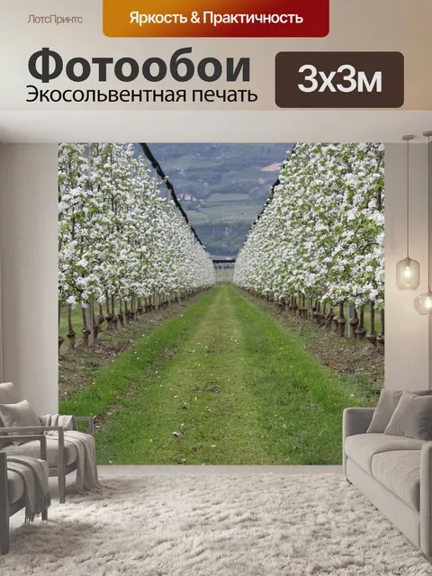 Фотообои Деревья