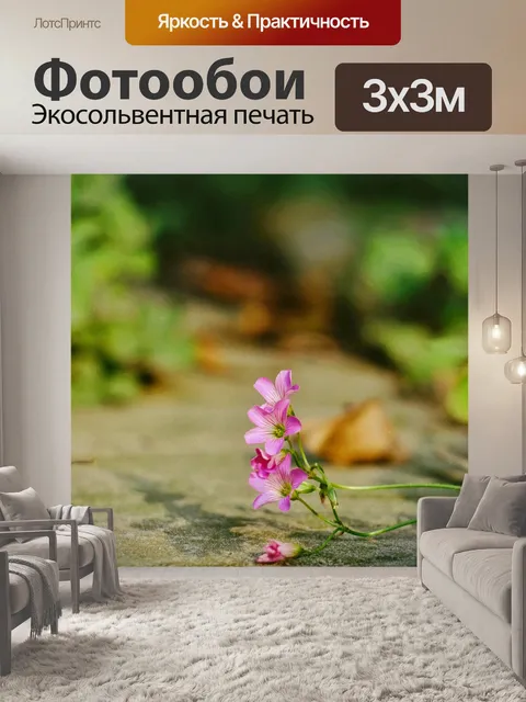Фотообои Цветок