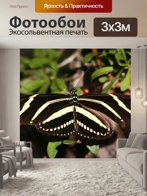 Фотообои бабочка