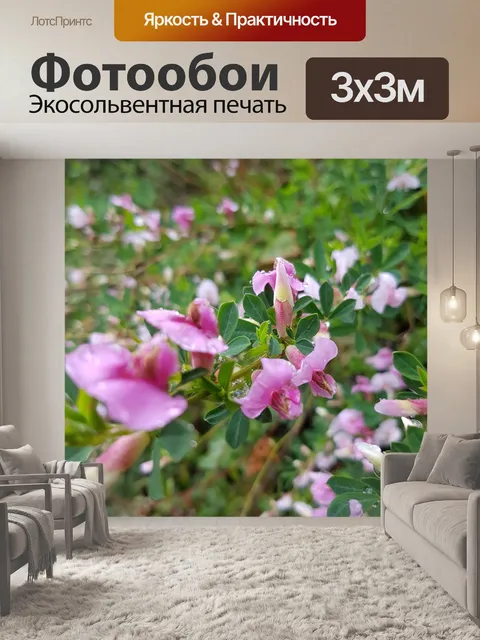 Фотообои Цветы