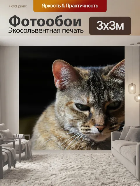 Фотообои Гата