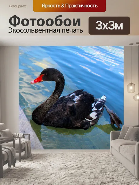 Фотообои Лебедь