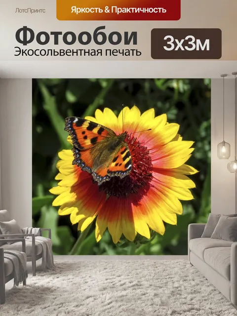Фотообои Бабочка