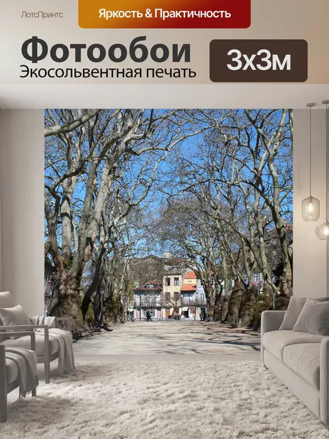 Фотообои Дорожка