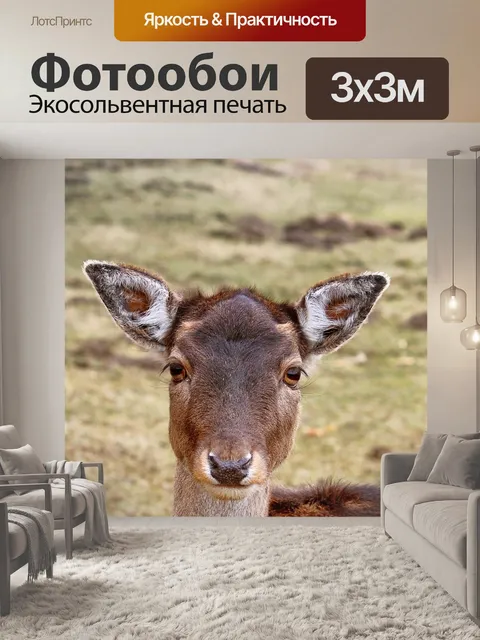 Фотообои Олень
