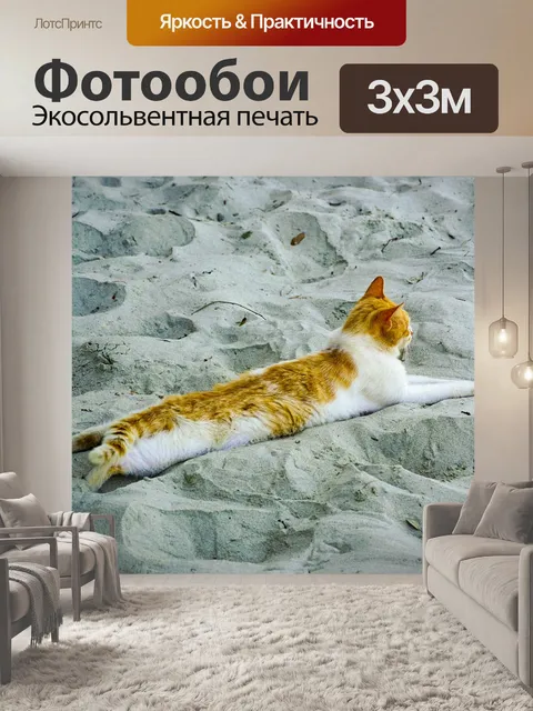 Фотообои Кошка