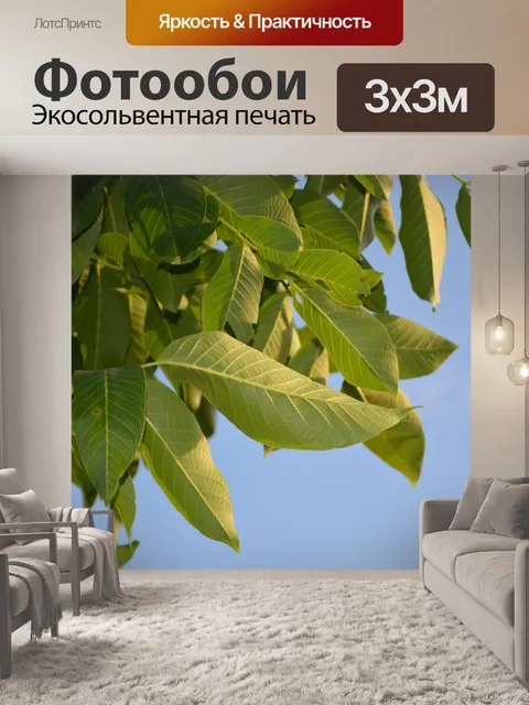Фотообои Листья