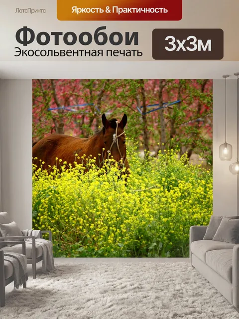 Фотообои Лошадь