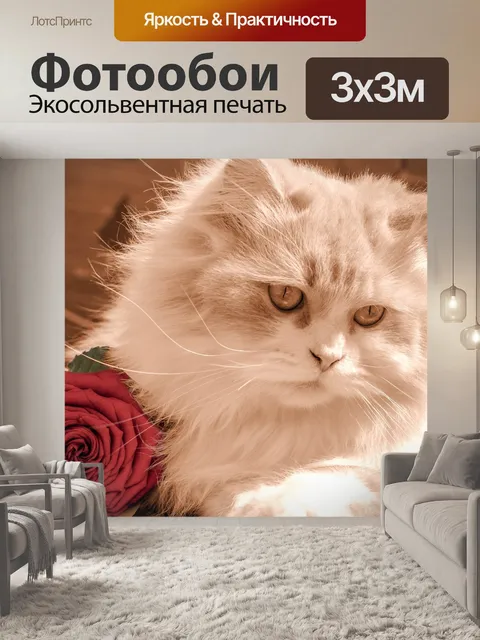 Фотообои Котенок