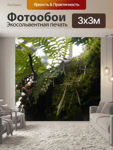 Фотообои Лес
