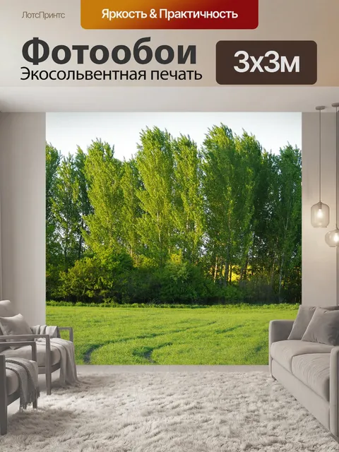 Фотообои Лес