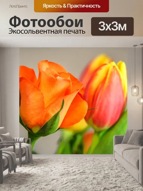Фотообои Тюльпан