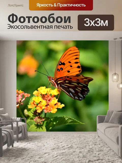 Фотообои Яркая фруктовая бабочка