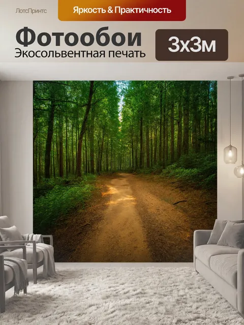 Фотообои линии, напоминающие тропинки в лесу, уходящие вглубь
