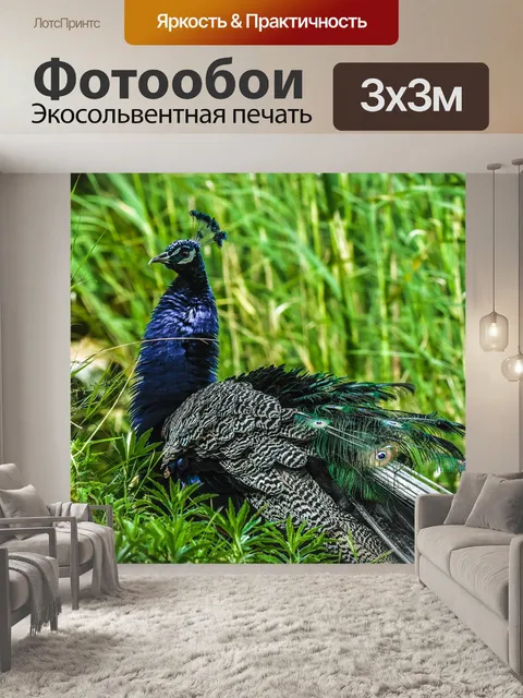 Фотообои Павлин