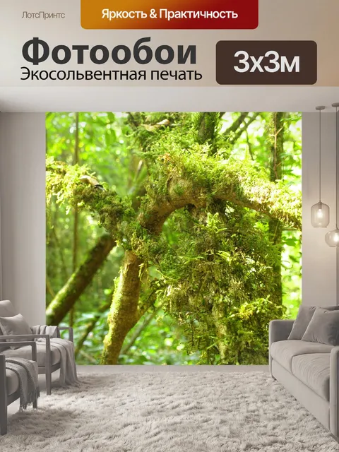 Фотообои Природа тропический лес дои Интанон наци