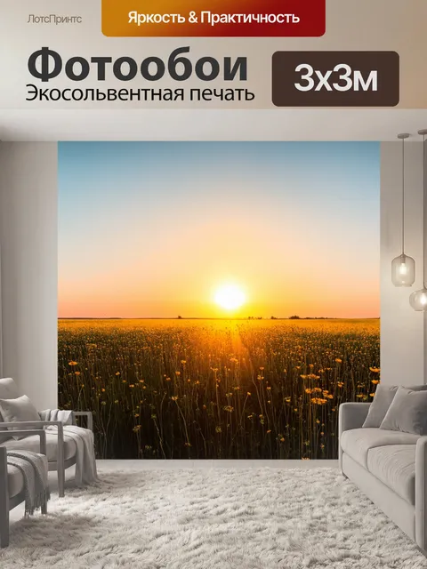 Фотообои закат над широким полем
