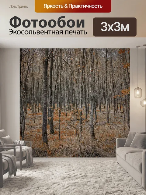 Фотообои Лес