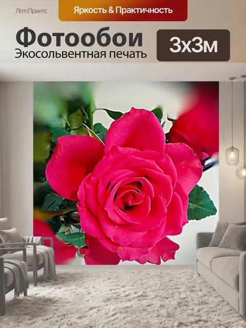 Фотообои Роза