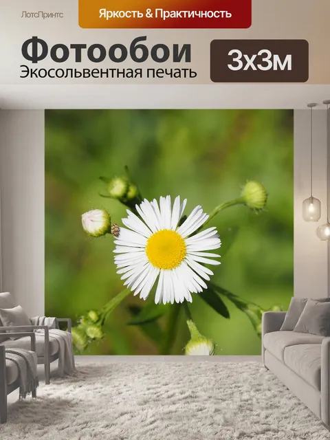 Фотообои Цветы