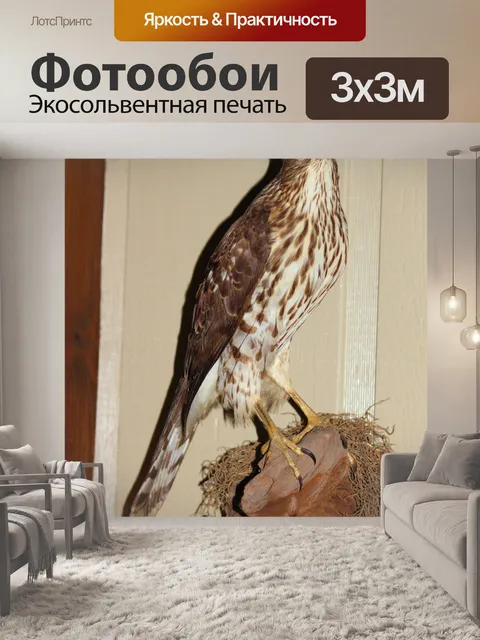Фотообои Таксидермия Bird 1