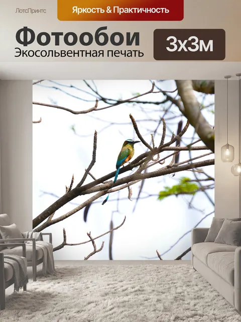 Фотообои Птица