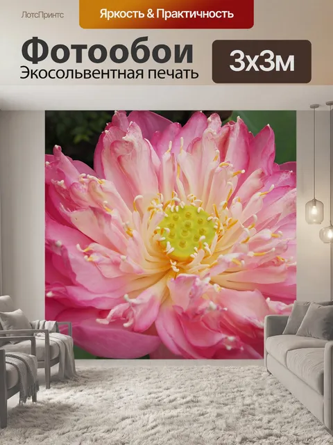 Фотообои Цветок