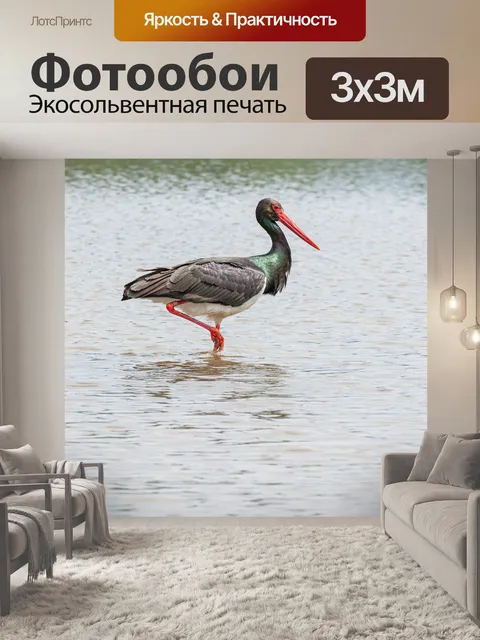 Фотообои Аист