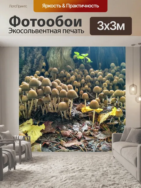 Фотообои Грибы