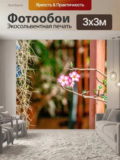 Фотообои Увлекательно