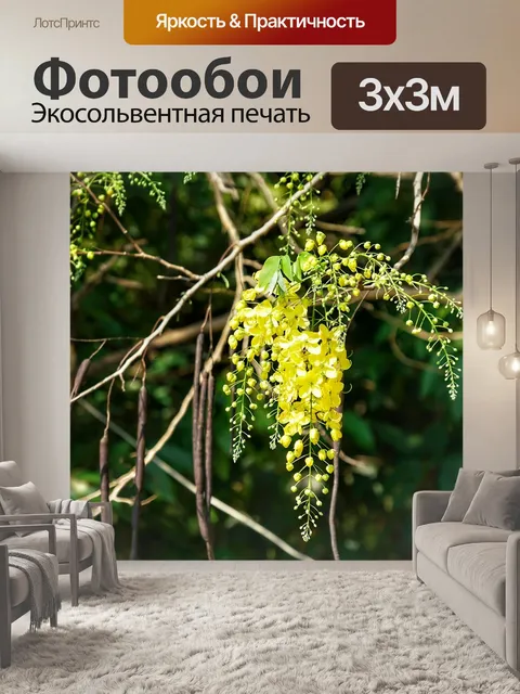 Фотообои Слоны хоботом
