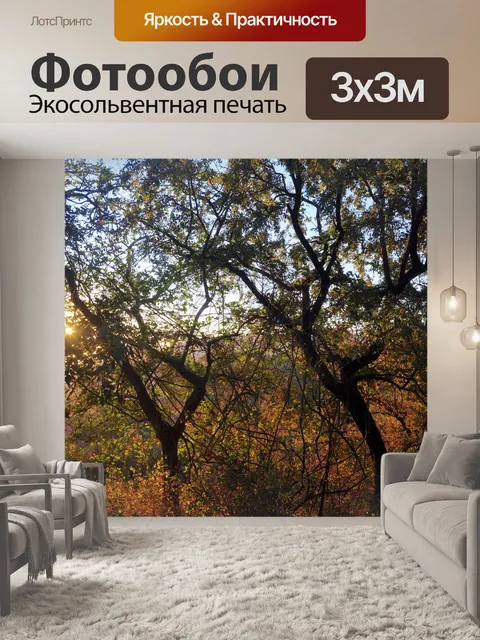 Фотообои Восход 01