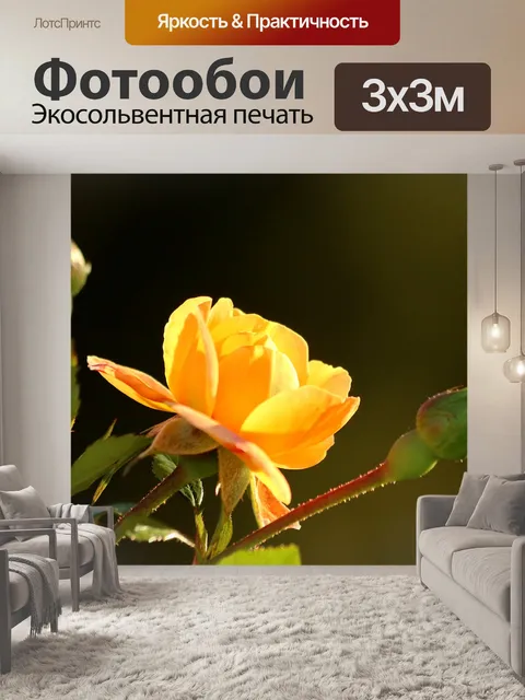 Фотообои Маленькая желтая роза