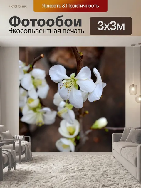Фотообои Весна Blossom
