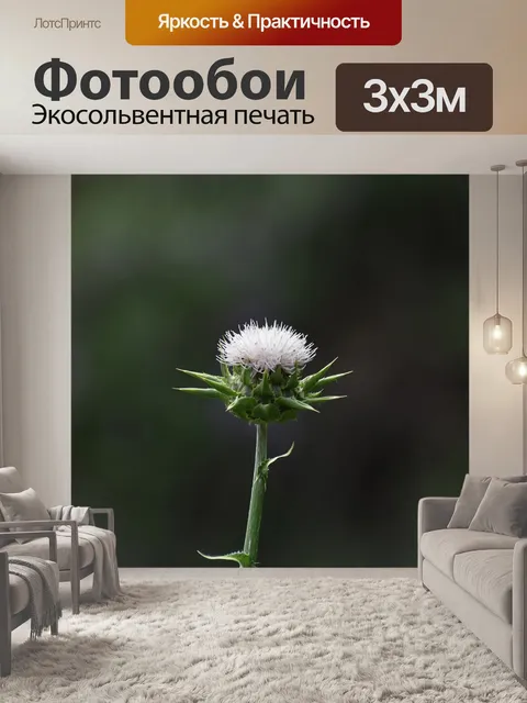 Фотообои Цветы