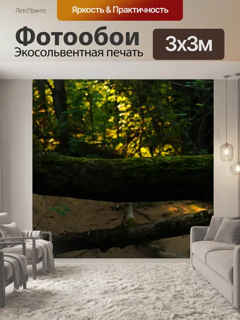 Фотообои Лес