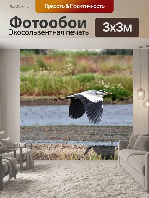 Фотообои Птица