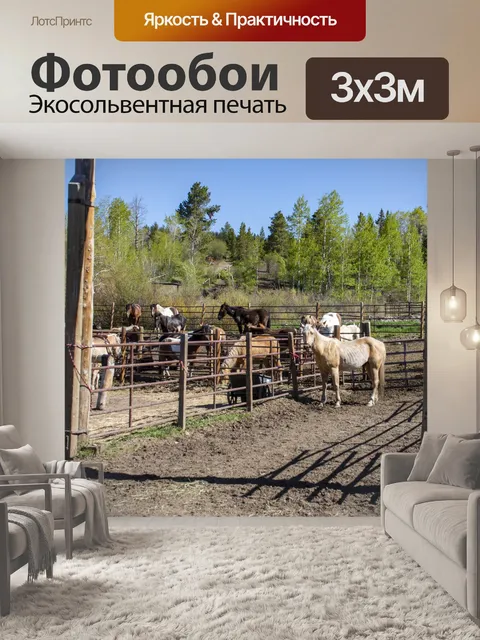 Фотообои лошадь