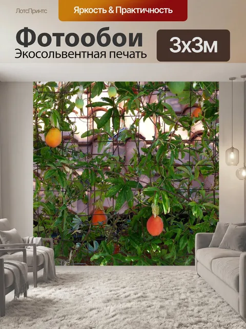 Фотообои Маракуйя