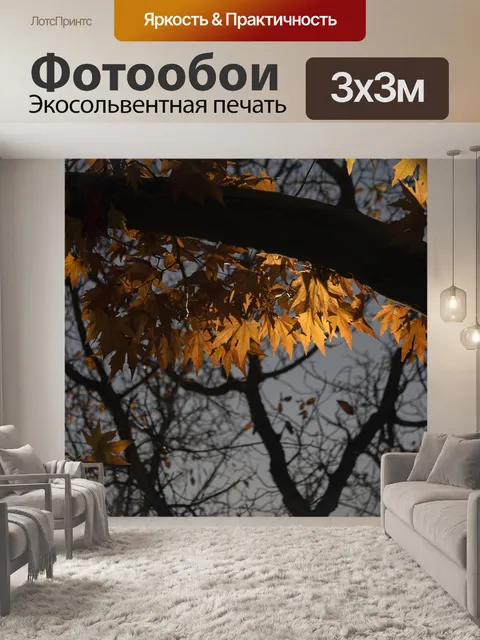 Фотообои Падение