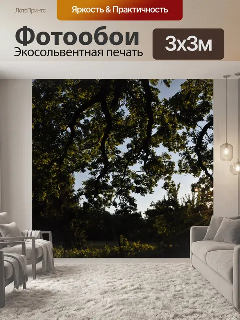 Фотообои Дерево