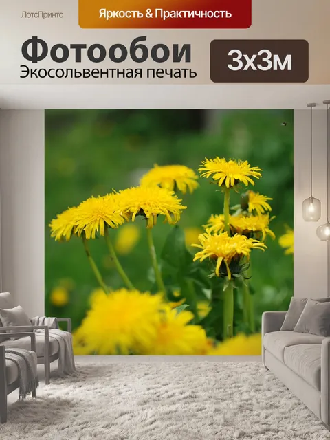 Фотообои Лес