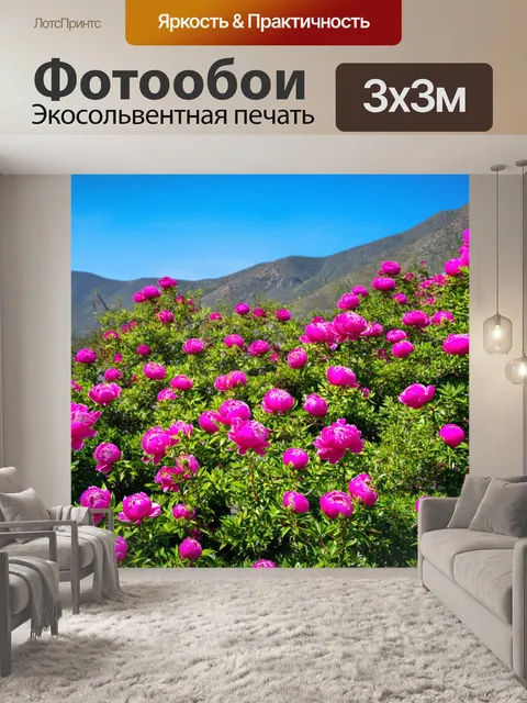 Фотообои пионы, растущие на фоне горного пейзажа, где яркие цветы контрастируют с синевою неба