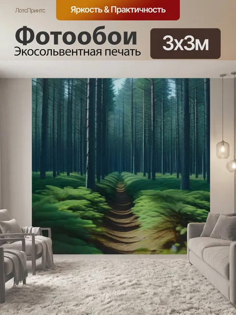 Фотообои увлекательное путешествие по еловому лесу