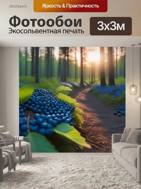Фотообои черника на лесной тропе при закате