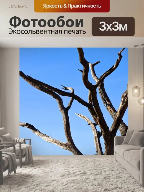 Фотообои Гриф
