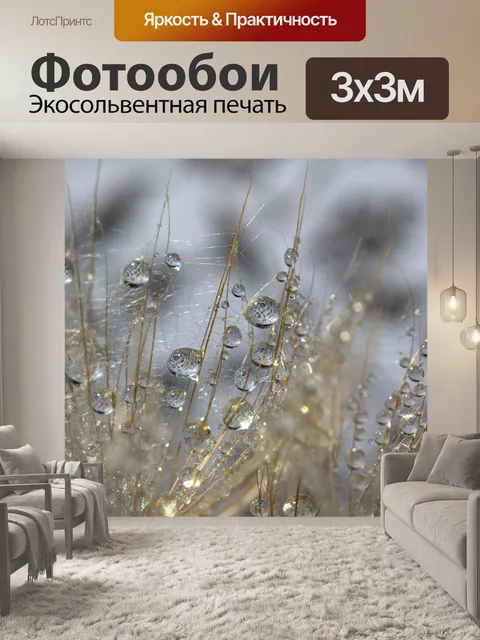 Фотообои Одуванчик