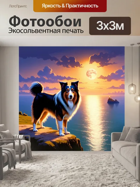 Фотообои колли, стоящий на краю утёса, смотрящий на бескрайний океан и закат, отражающийся в его глазах