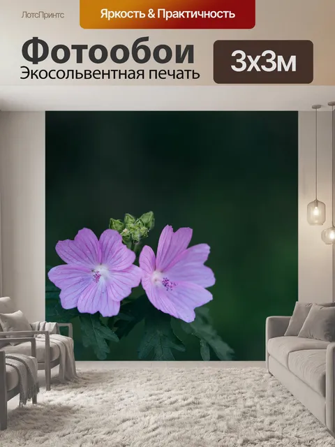 Фотообои Цветы