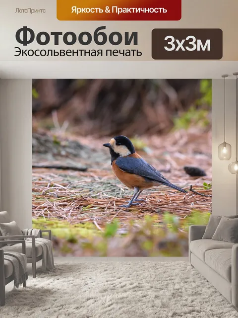Фотообои Животное